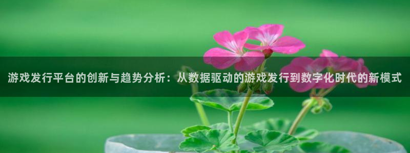 tp钱包手续费好贵：游戏发行平台的创新与趋势分析：从数据驱动的游戏发行到数字化时代的新模式