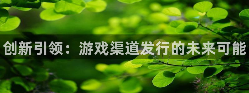 TP钱包怎么创建BNB钱包地址：创新引领：游戏渠道发行的未来可能