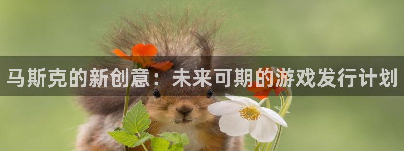 tp钱包kyc认证：马斯克的新创意：未来可期的游戏发行计划