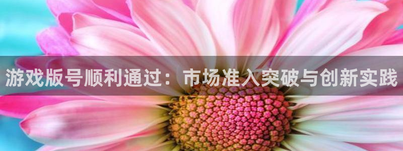 tp路由器客户端下载：游戏版号顺利通过：市场准入突破与创新实践