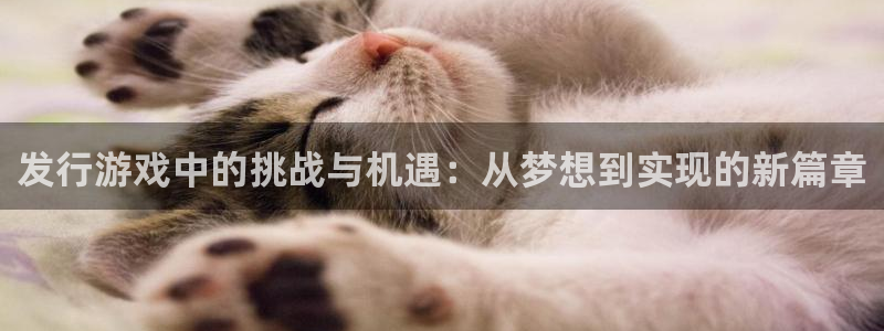 tp钱包跑路：发行游戏中的挑战与机遇：从梦想到实现的新篇章