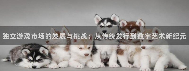 ht怎么提到tp钱包：独立游戏市场的发展与挑战：从传统发行到数字艺术新纪元
