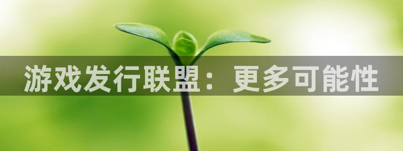 下载tplogin.cn app：游戏发行联盟：更多可能性