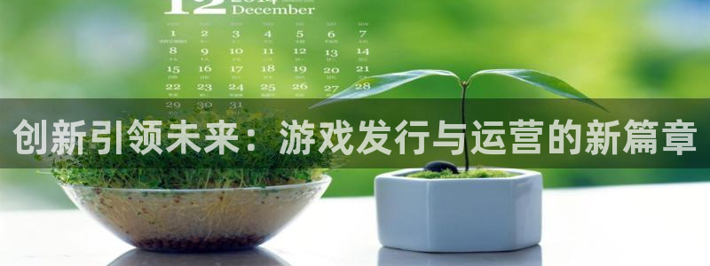 TP钱包下载后怎么操作：创新引领未来：游戏发行与运营的新篇章