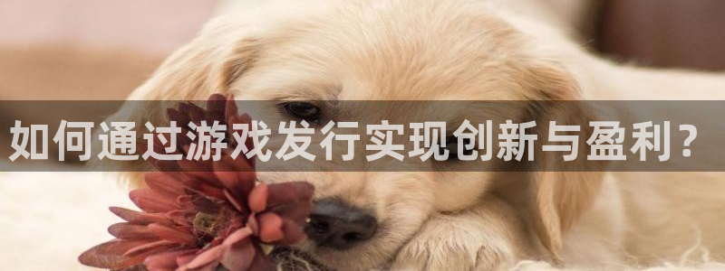 tp钱包app哈希值查询