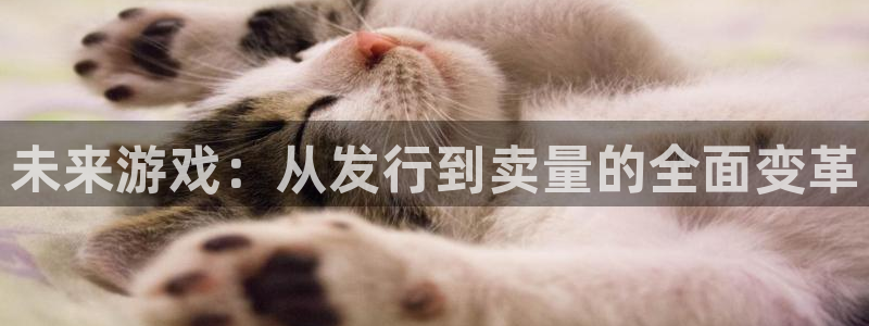 tp钱包币找不到：未来游戏：从发行到卖量的全面变革
