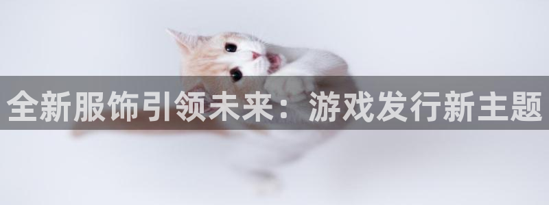 tp钱包dapps打不开