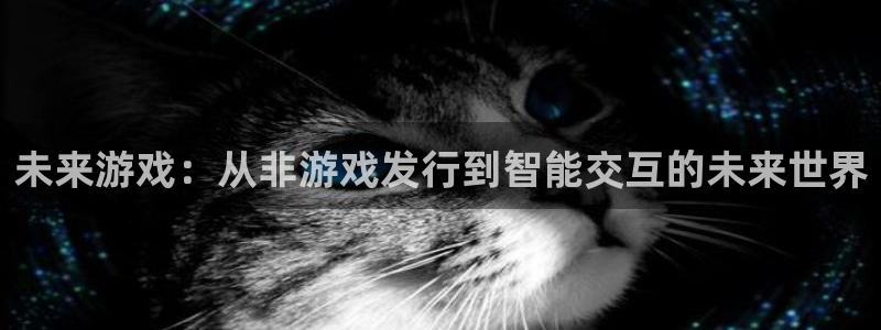 怎么联系tp钱包客服