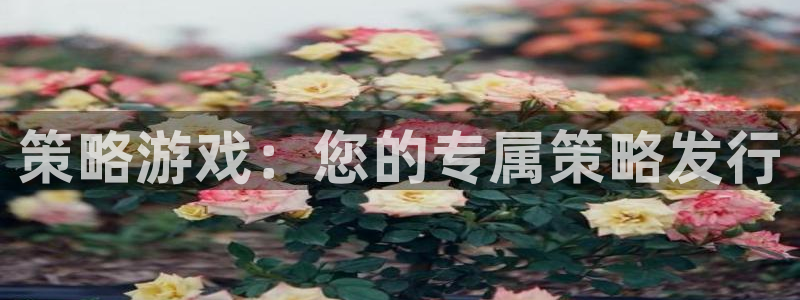 tp钱包app官方下载安卓最新版本链接：策略游戏：您的专属策略发行