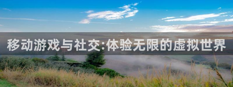 tp钱包怎么设置中文